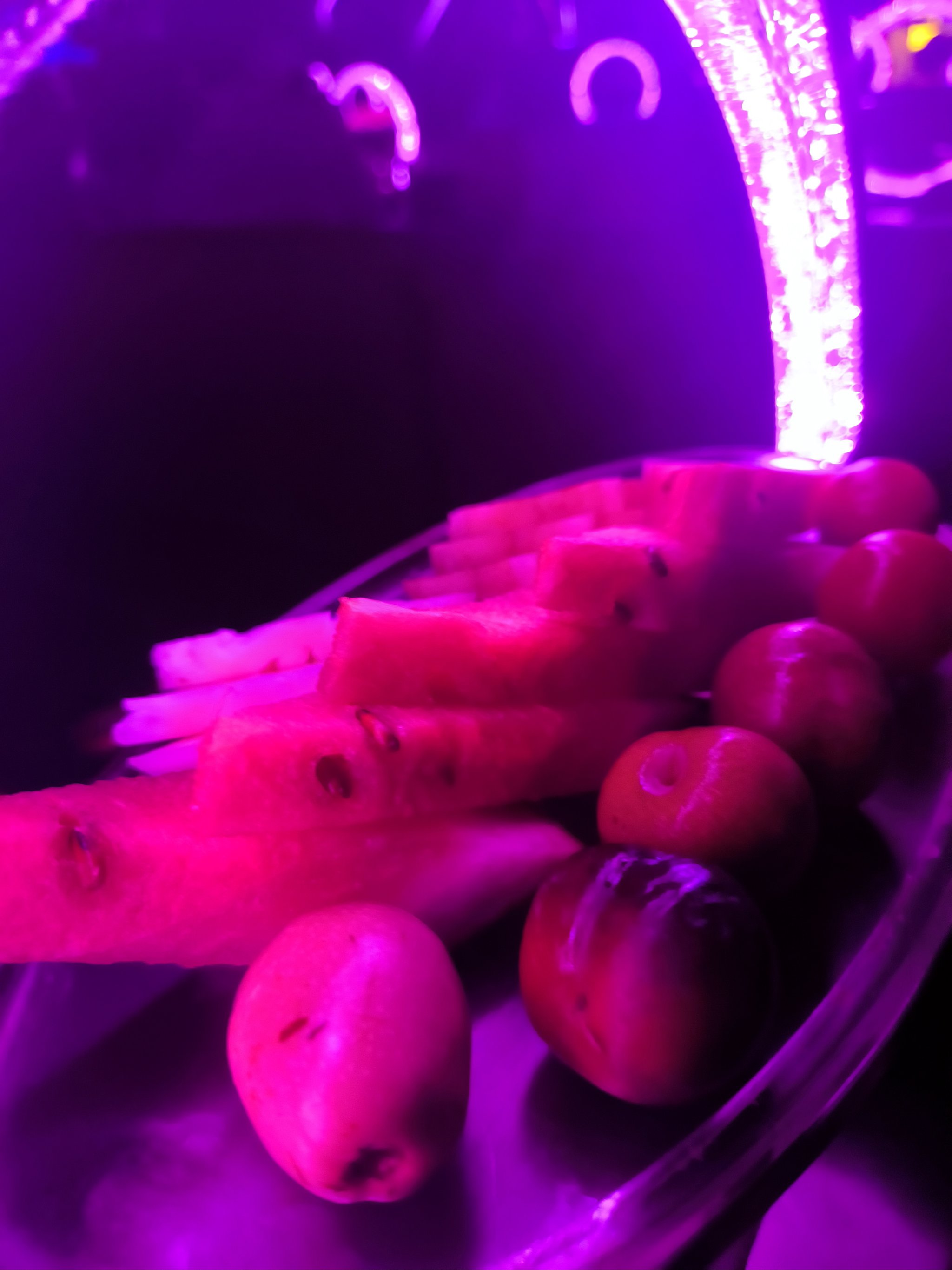 白山商务ktv高端商务ktv首选-靖宇县ktv预订